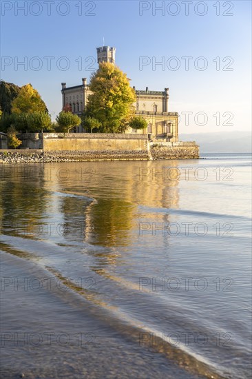 Autumn trees on the shore in the sunshine with Montfort Castle