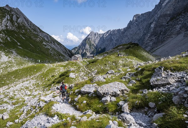 Hikers on a hiking trail