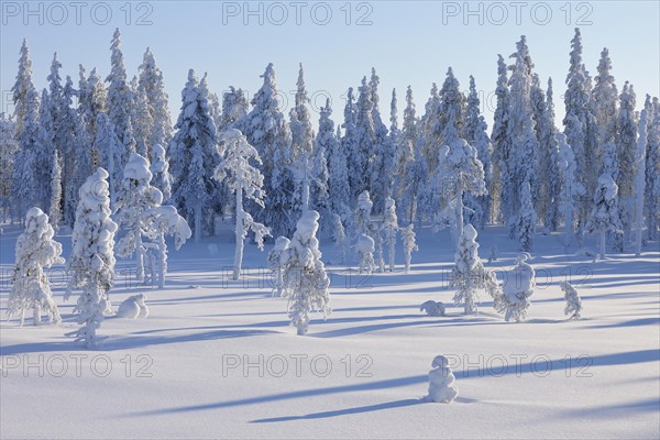 Snow covered landscape in winter