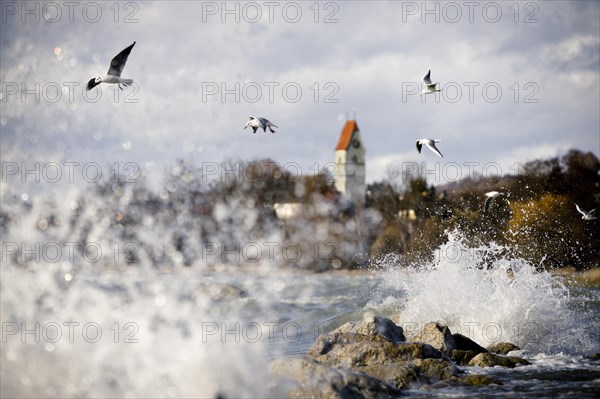 Storm Lolita whips waves against the stony shore in the background Hagnau