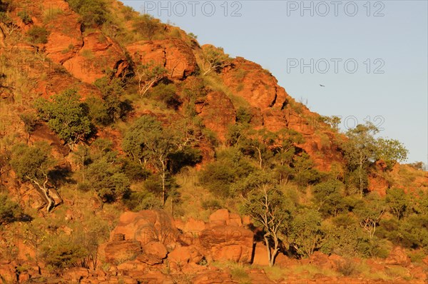 Red rock formation in the evening light