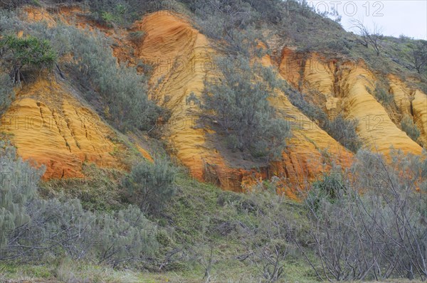 Rock Formation The Cathedrals