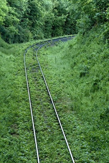 Single-track overgrown railway line