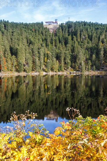 Mummelsee and mountain Hornisgrinde in Black Forest landscape nature in autumn in Seebach