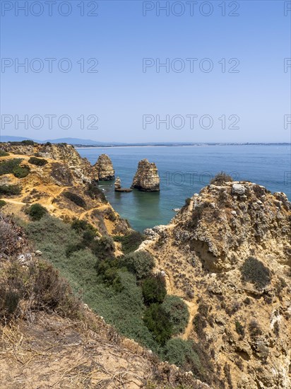 Rocky coast with cliffs