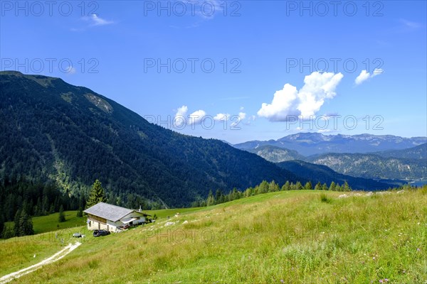 Lerchkogel Alm