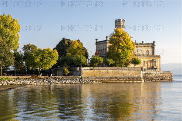 Autumn trees on the shore in the sunshine with Montfort Castle