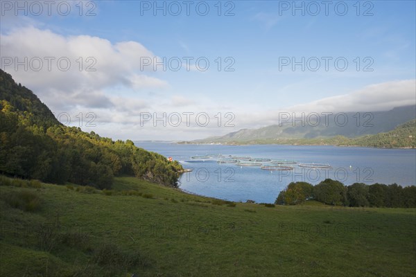 Salmon farm in Kvernes Fjord