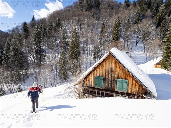 Snowshoe hiker in winter landscape