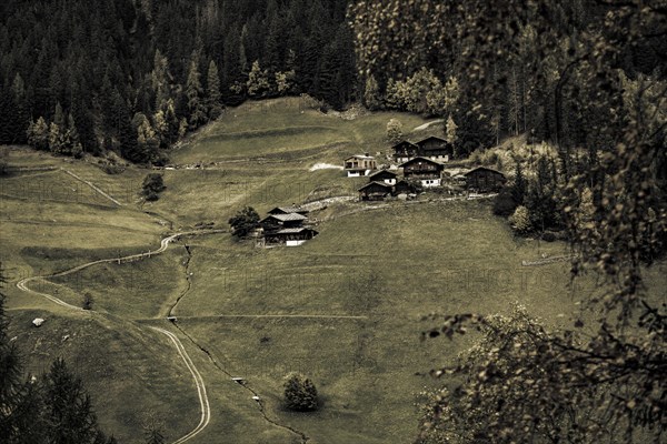 Old farms on mountain meadow