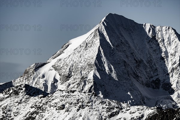 Snowy summit of the Koenigspitze at blue hour