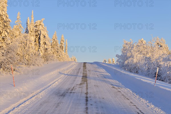 Road in winter