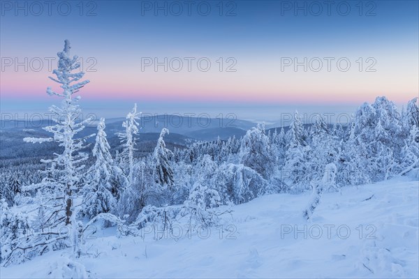 Snow Covered Winter Landscape at Dawn. Grosser Feldberg