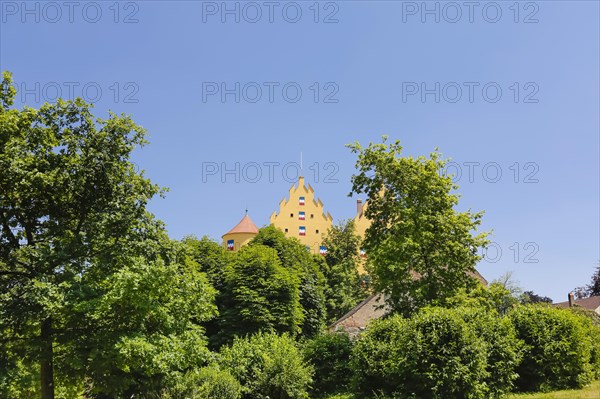 Erbach Castle of the Barons of Ulm-Erbach