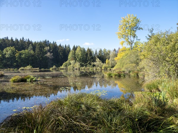 Quiet sunny autumn day at Dingelsdorfer Ried