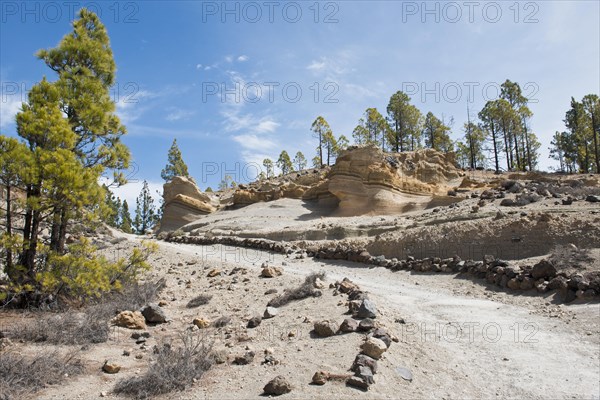 Lunar Landscape