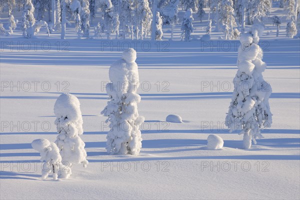 Snow covered landscape in winter