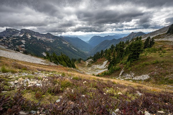 View into the valley of Butter Creek