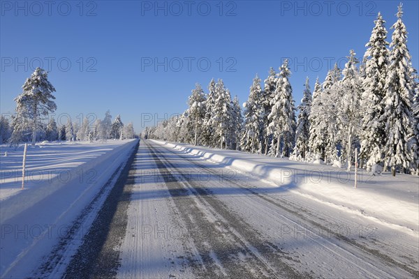 Road in the Winter