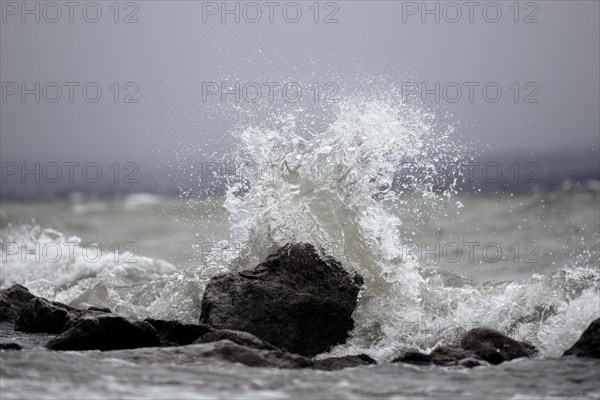 Storm Lolita raging on the stony shore in Hagnau