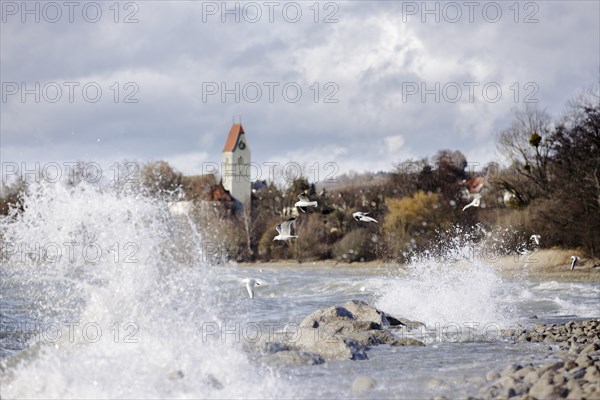 Storm Lolita whips waves against the stony shore in the background Hagnau