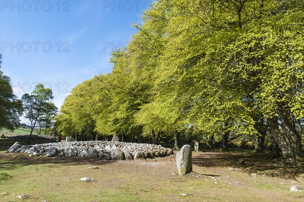 Neolithic