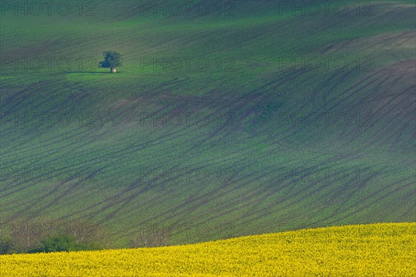 Beautiful and colorful abstract landscape