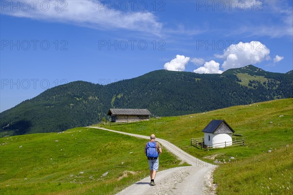 Hiker