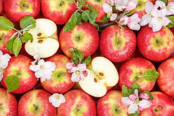 Apples Fruits red apple fruit with blossoms and leaves from above