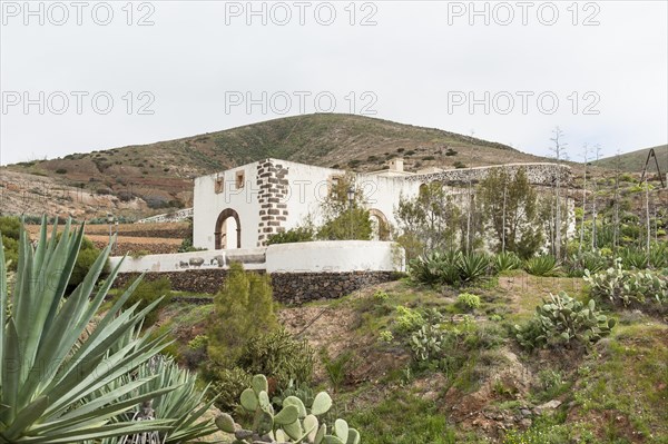 Monastery ruins