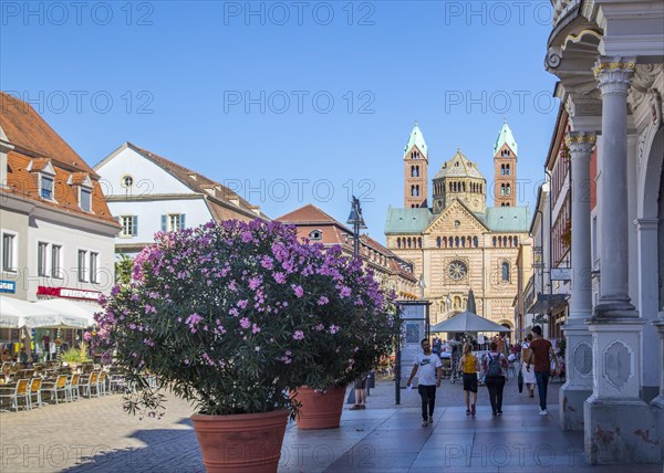 Maximilianstrasse with view of Speyer Cathedral