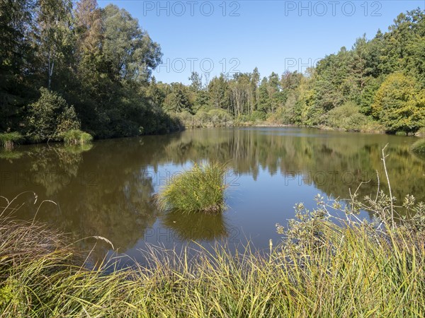 Quiet sunny autumn day at Dingelsdorfer Ried