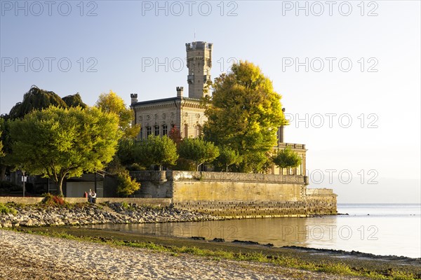 Autumn trees on the shore in the sunshine with Montfort Castle