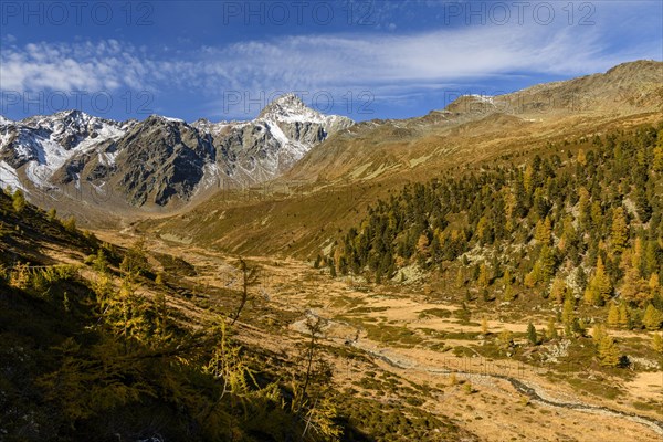 Autumn valley with stream and larches