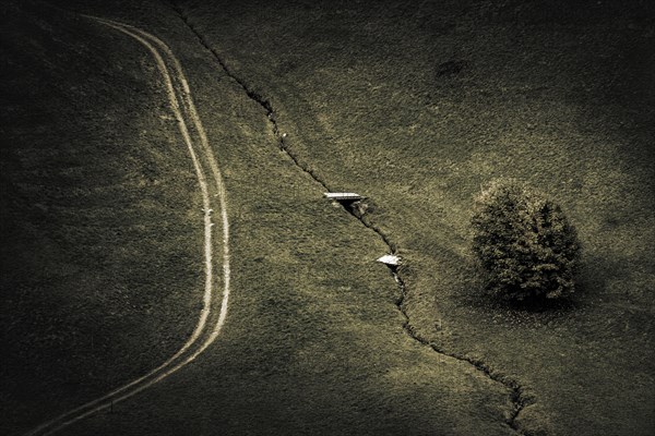 Small mountain road in mountain meadow