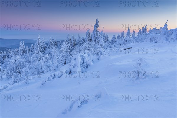 Snow Covered Winter Landscape at Dawn. Grosser Feldberg