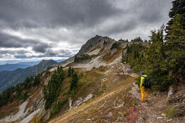 Hikers on a trail