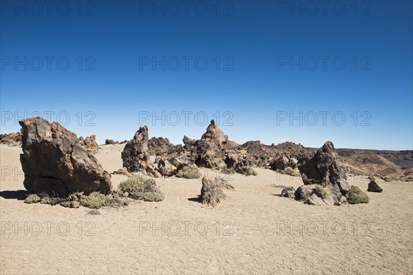 Lava rocks in Teide National Park