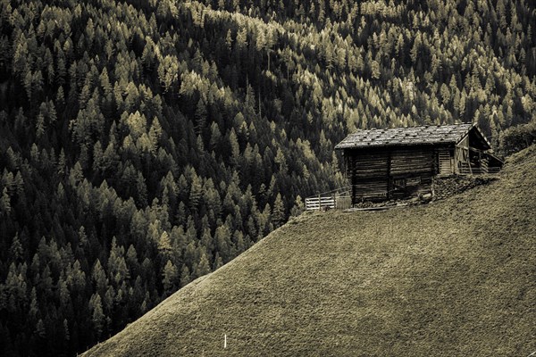 Old farms on mountain meadow