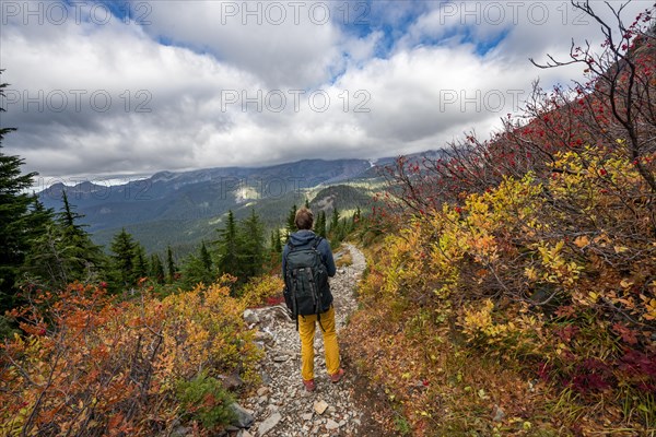 Hikers on a trail through autumn coloured bushes