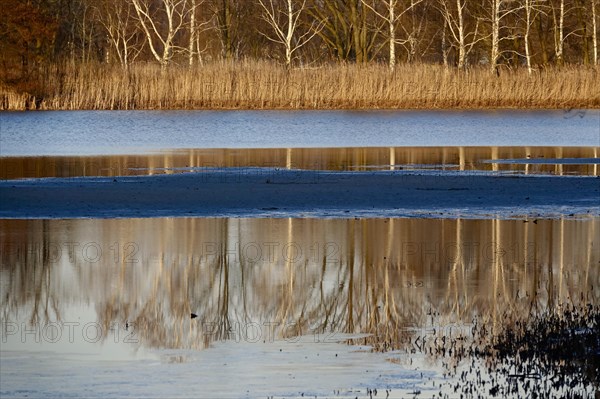 Winter evening