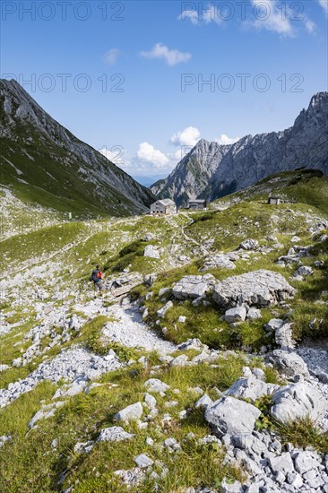 Hikers on a hiking trail