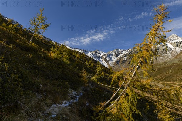 Autumn valley with stream and larches