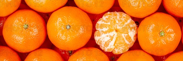 Tangerine Clementine Fruit Tangerine Clementine Fruit from above Panorama