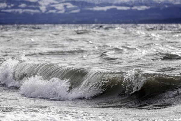 Storm Lolita raging on the rocky shore with waves in Hagnau