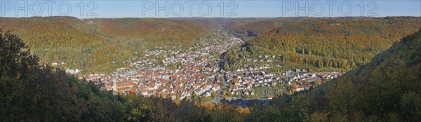 Panoramic view of old town with half-timbered houses and autumnal forest