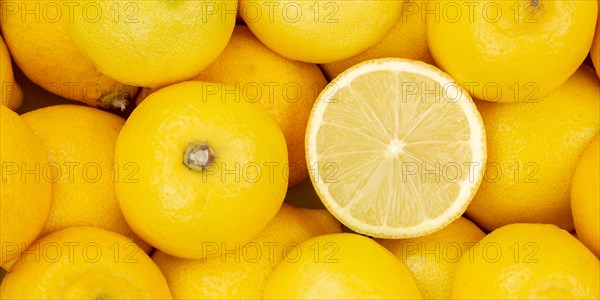 Lemon Fruit Lemon Fruit from above Panorama