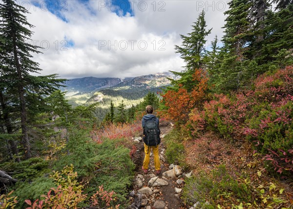 Hikers on a trail through autumn coloured bushes and forest