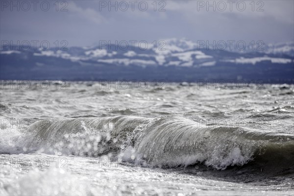 Storm Lolita raging on the rocky shore with waves in Hagnau