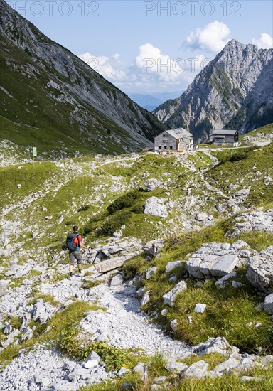 Hikers on a hiking trail